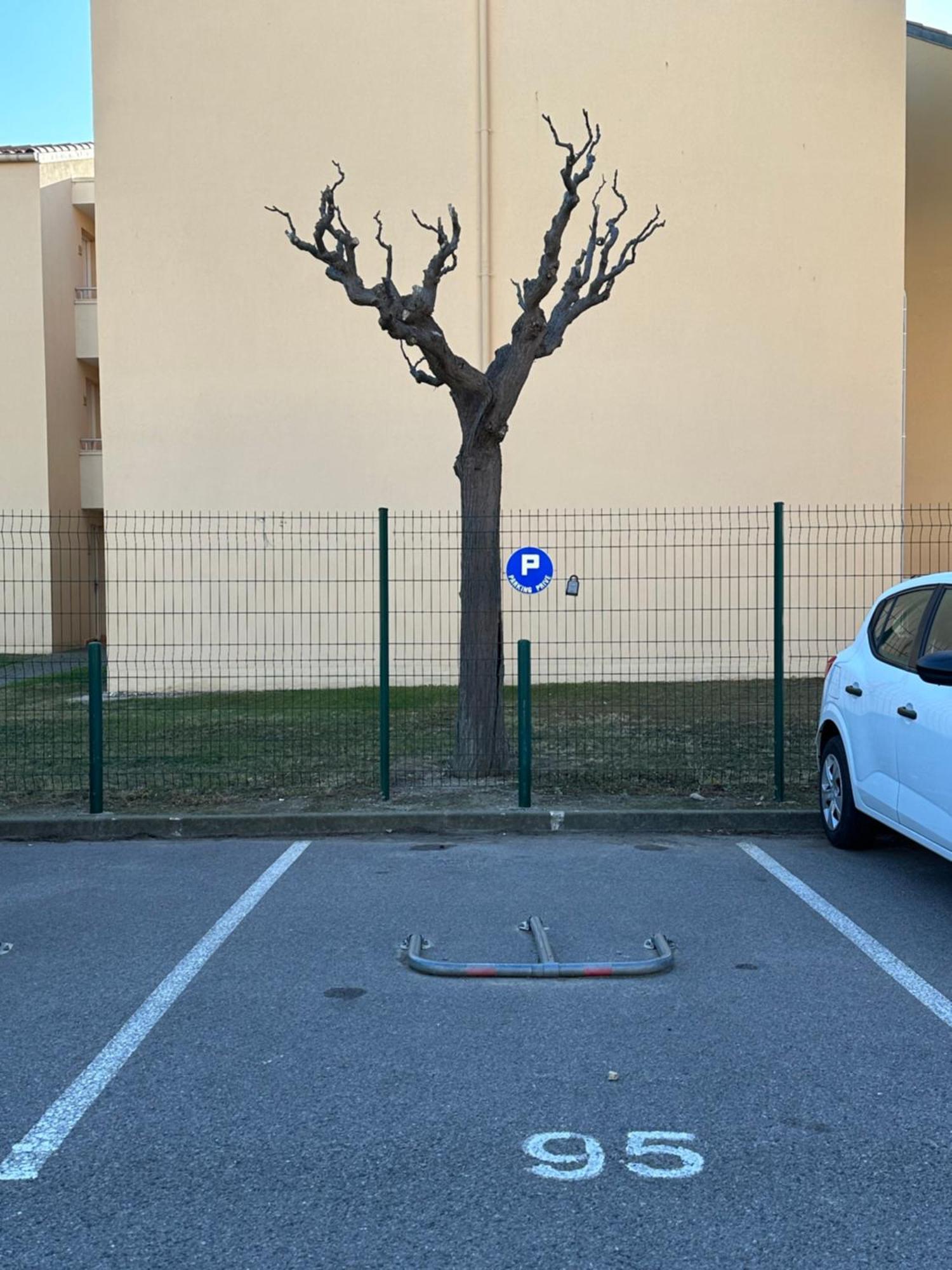 T2 Rdc A Canet En Roussillon Europa 4 Pers ,Piscine,Clim, Tennis, Parking Exteriér fotografie